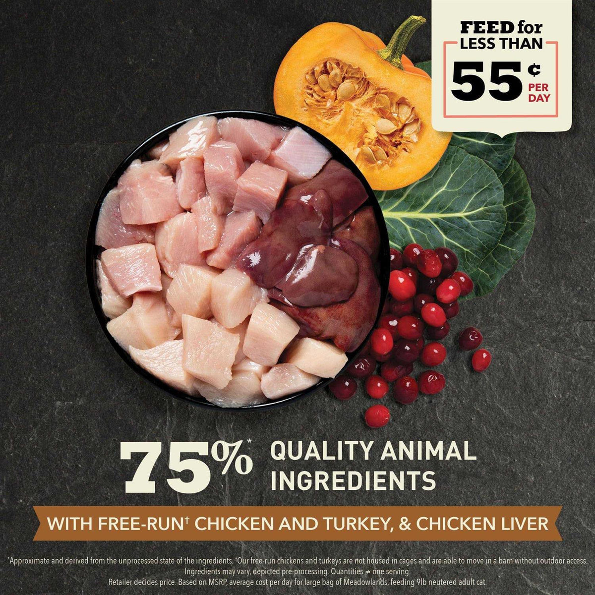 Dry Cat Food T838