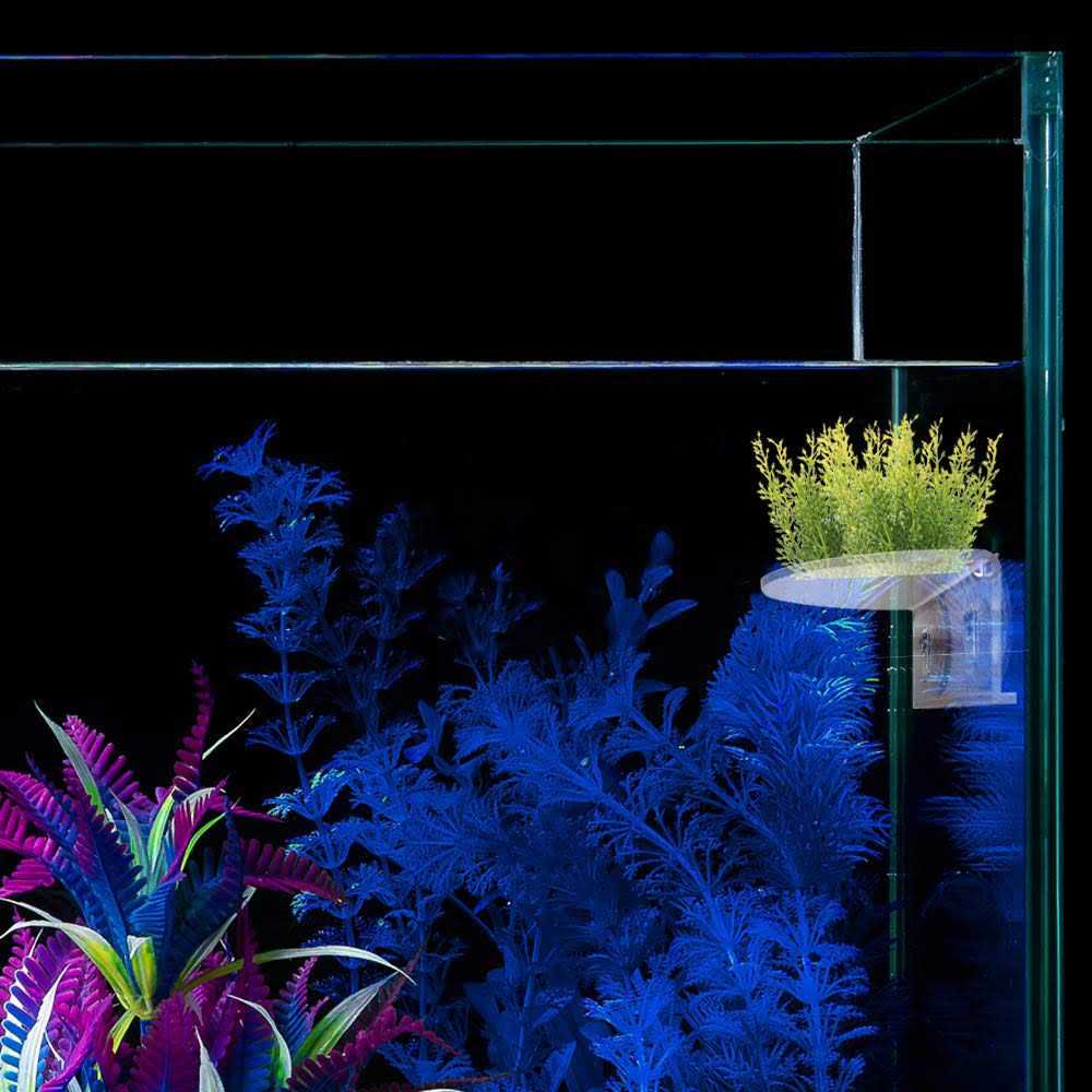 Transparent Acrylic Aquarium Shelf with Suction Cups O112