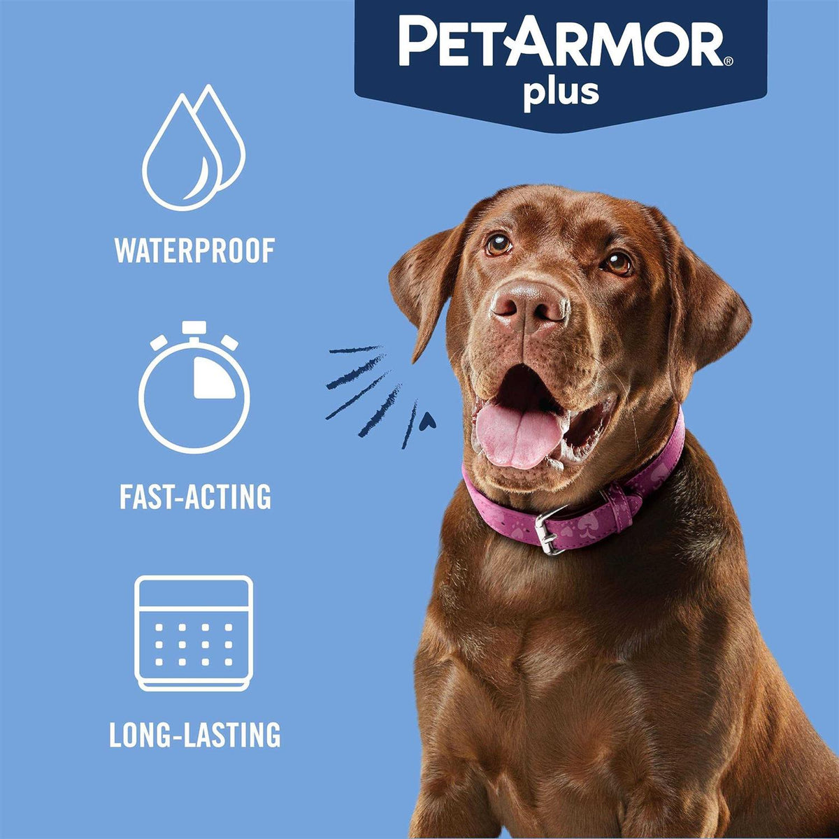 Flea and Tick Treatment for Large Dogs G885