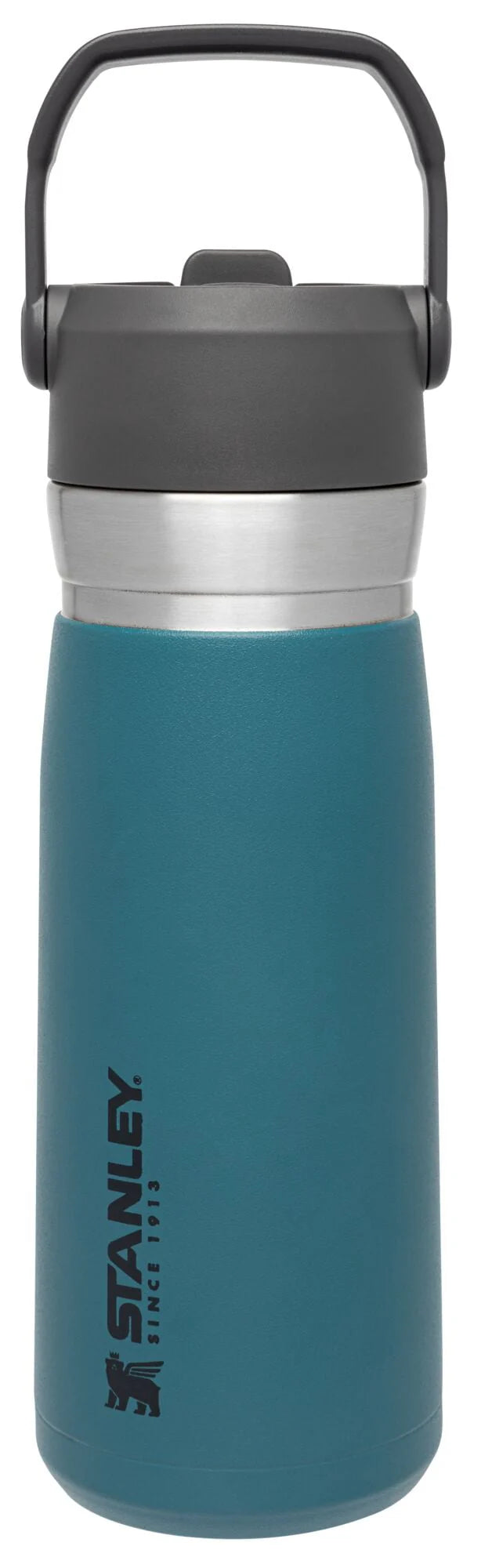 22 oz Insulated Stainless Steel Water Bottle with Straw and Flip-Top Lid X940225