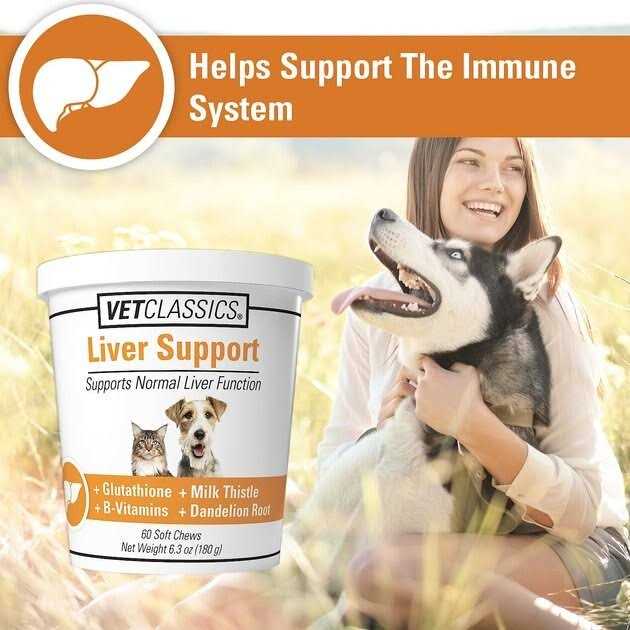 Liver Support Pet Supplies A369182
