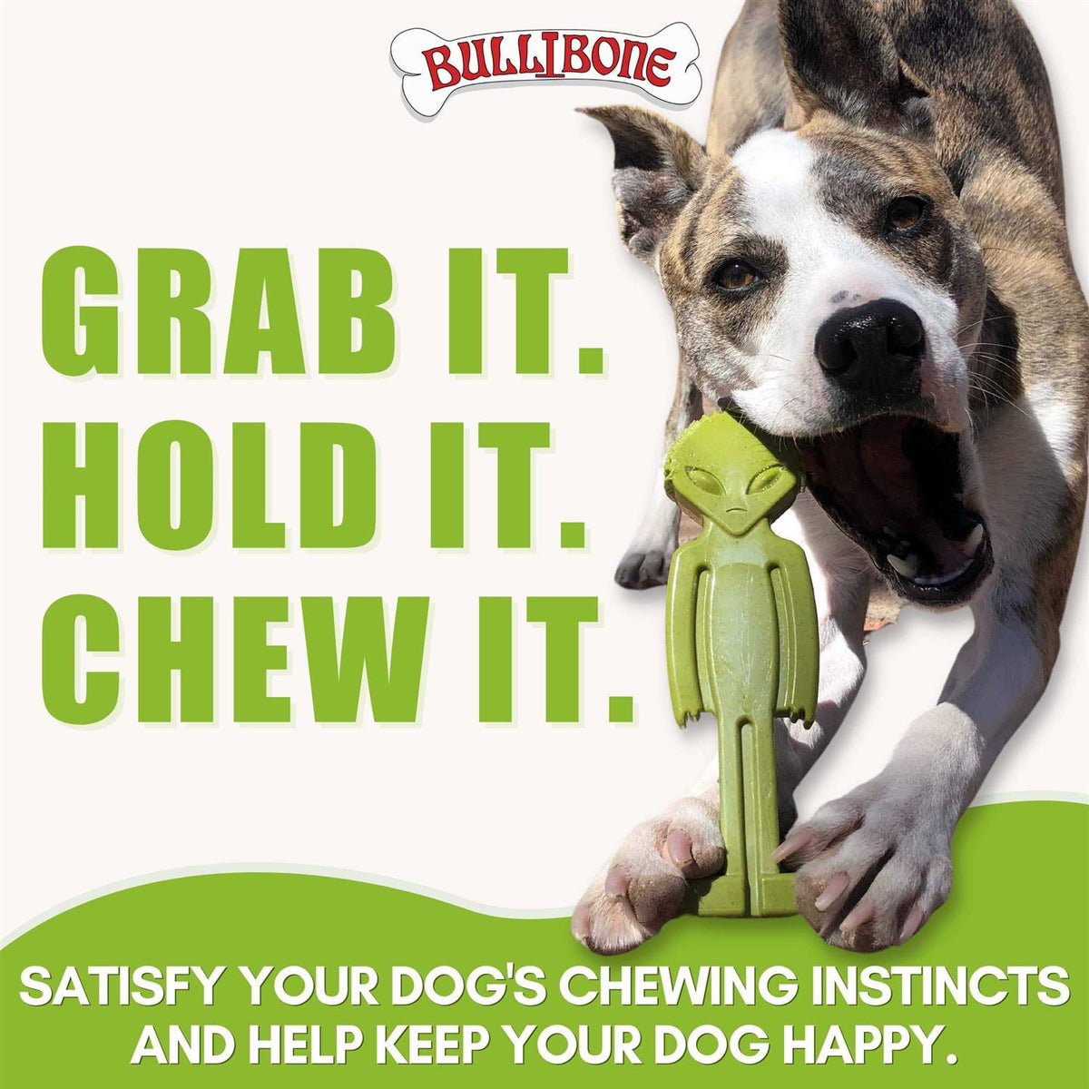 Small Dog Chew Toy with Easy Hold Grips G15771
