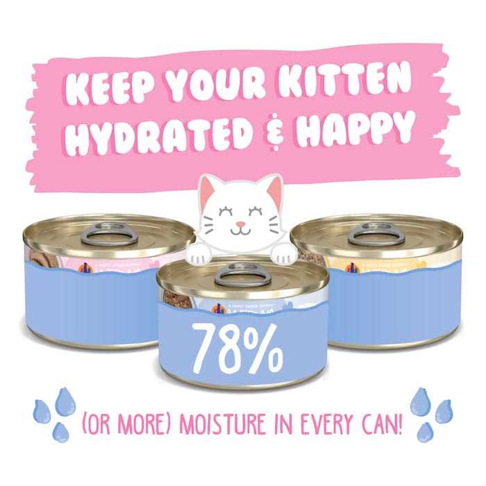 Kitten Cat Food Variety Pack C6335
