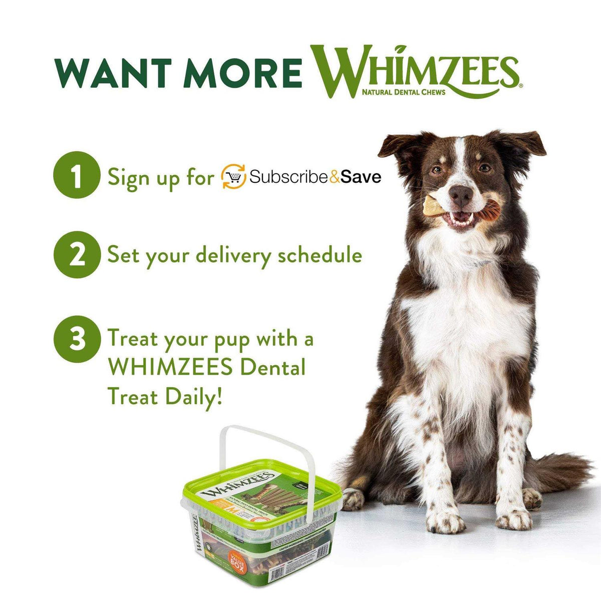 Variety Pack Dental Dog Treats T836951