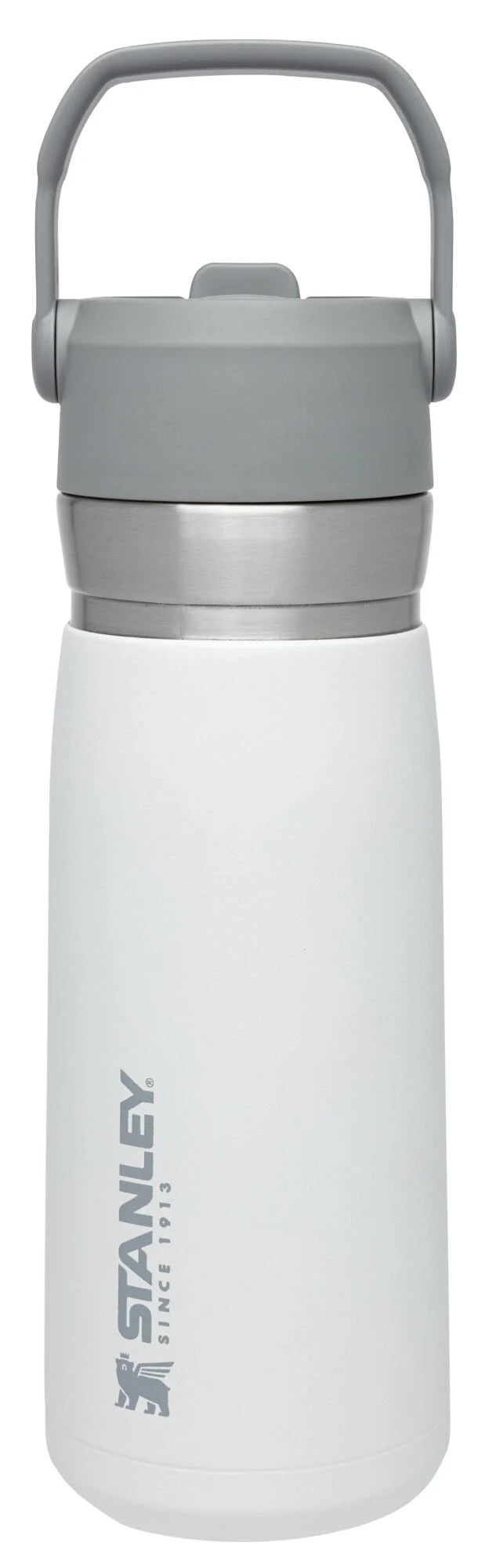22 oz Insulated Stainless Steel Water Bottle with Straw and Flip-Top Lid X940225