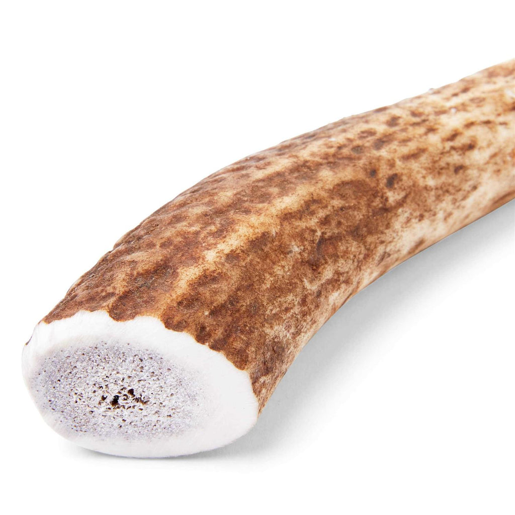 Whole Elk Antler Dog Chew U433