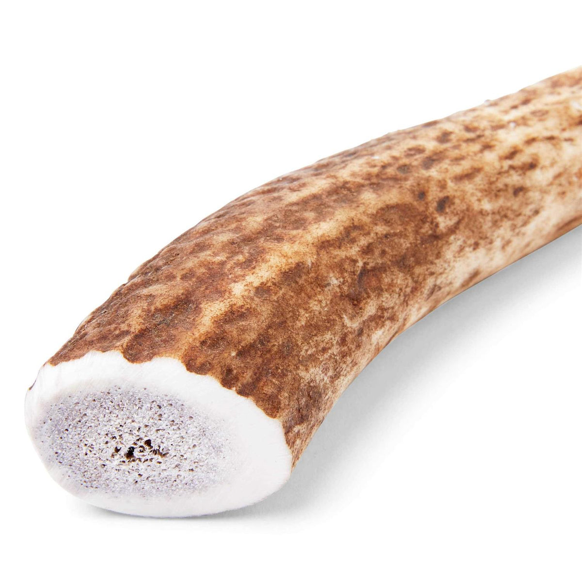 Whole Elk Antler Dog Chew U433