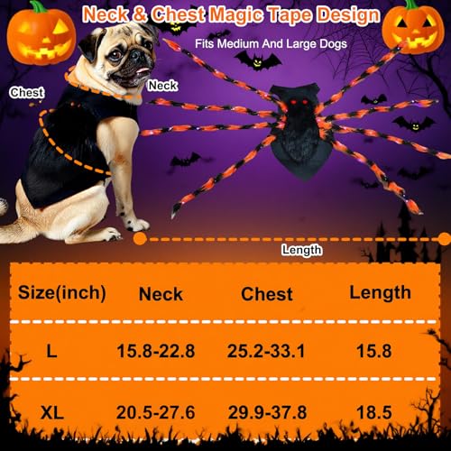 LED Spider Dog Halloween Costume with Multicolor Lights E433099