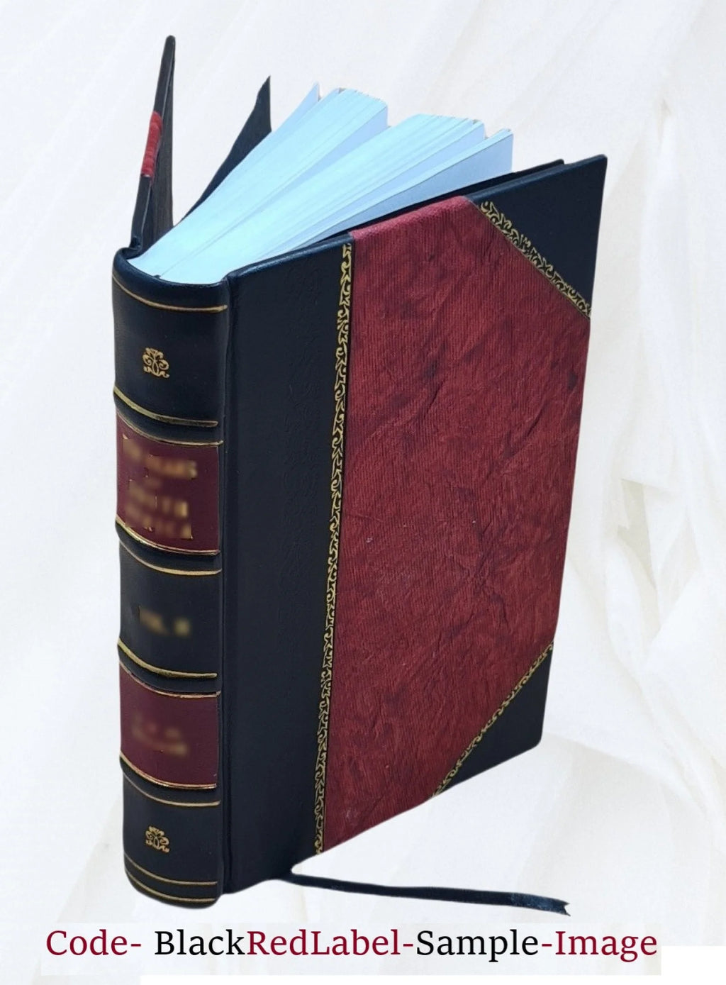 Leather Bound Book W919