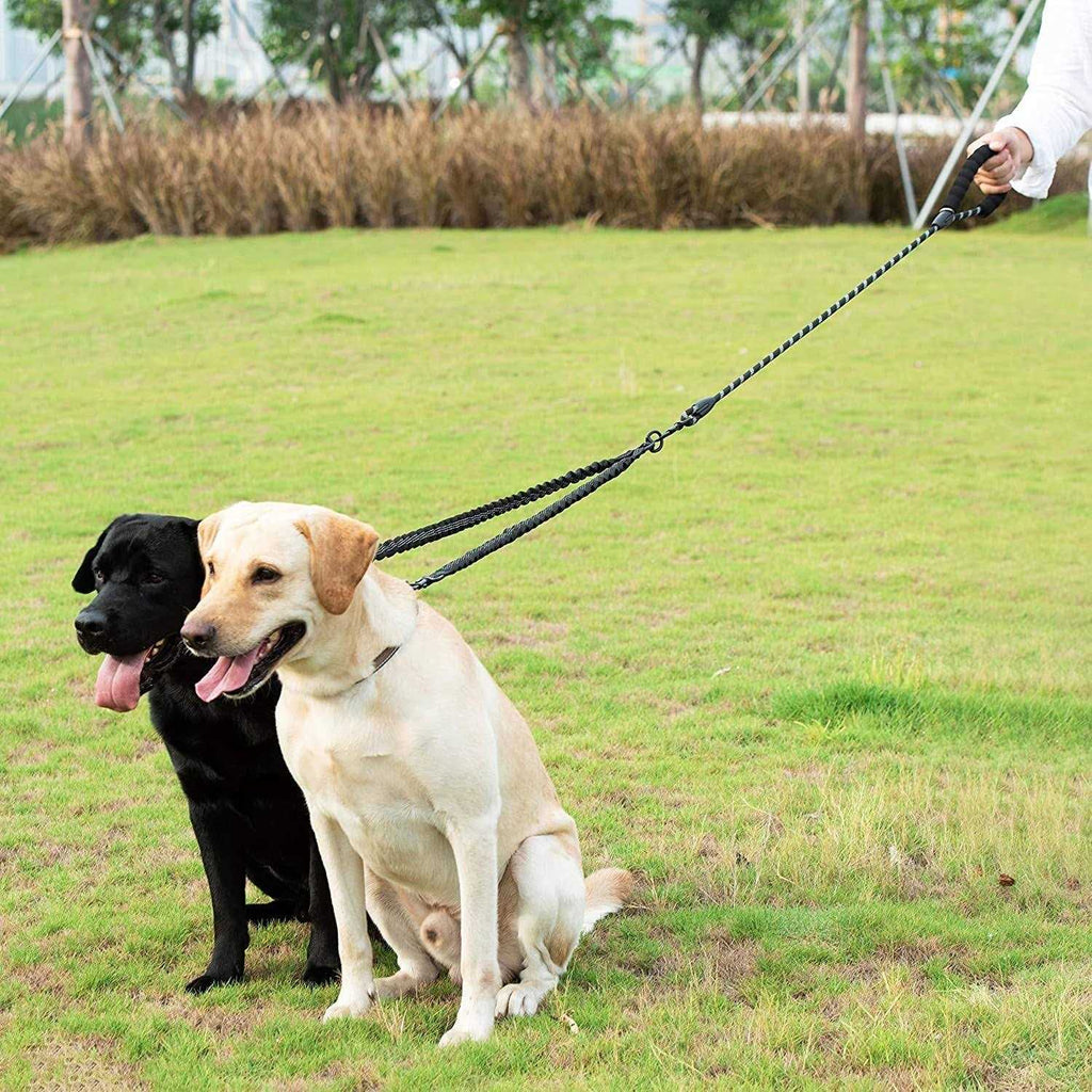 Double Dog Leash 360 Swivel No Tangle Q66606