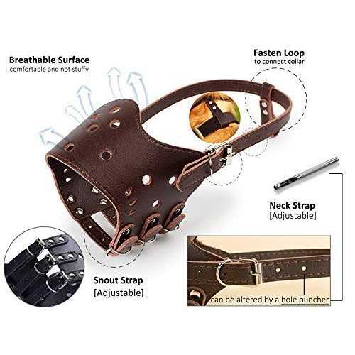 Leather Dog Muzzle C151