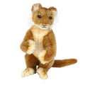 Lion Cub 11 inch M967